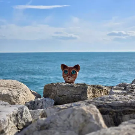 Virginia Madre Luxury 4*