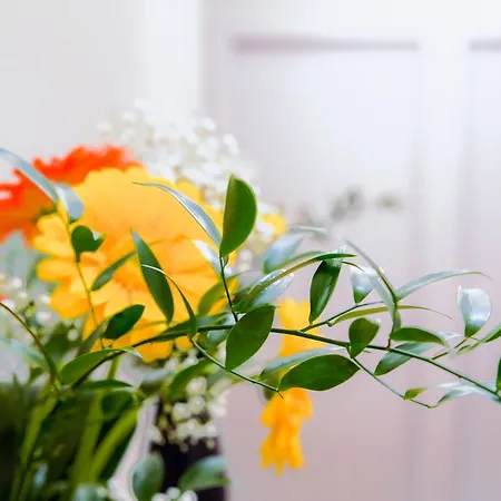 Virginia Madre - Boutique Guest House